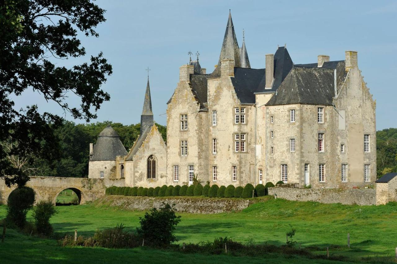 Chateau De Bourgon Montourtier Экстерьер фото