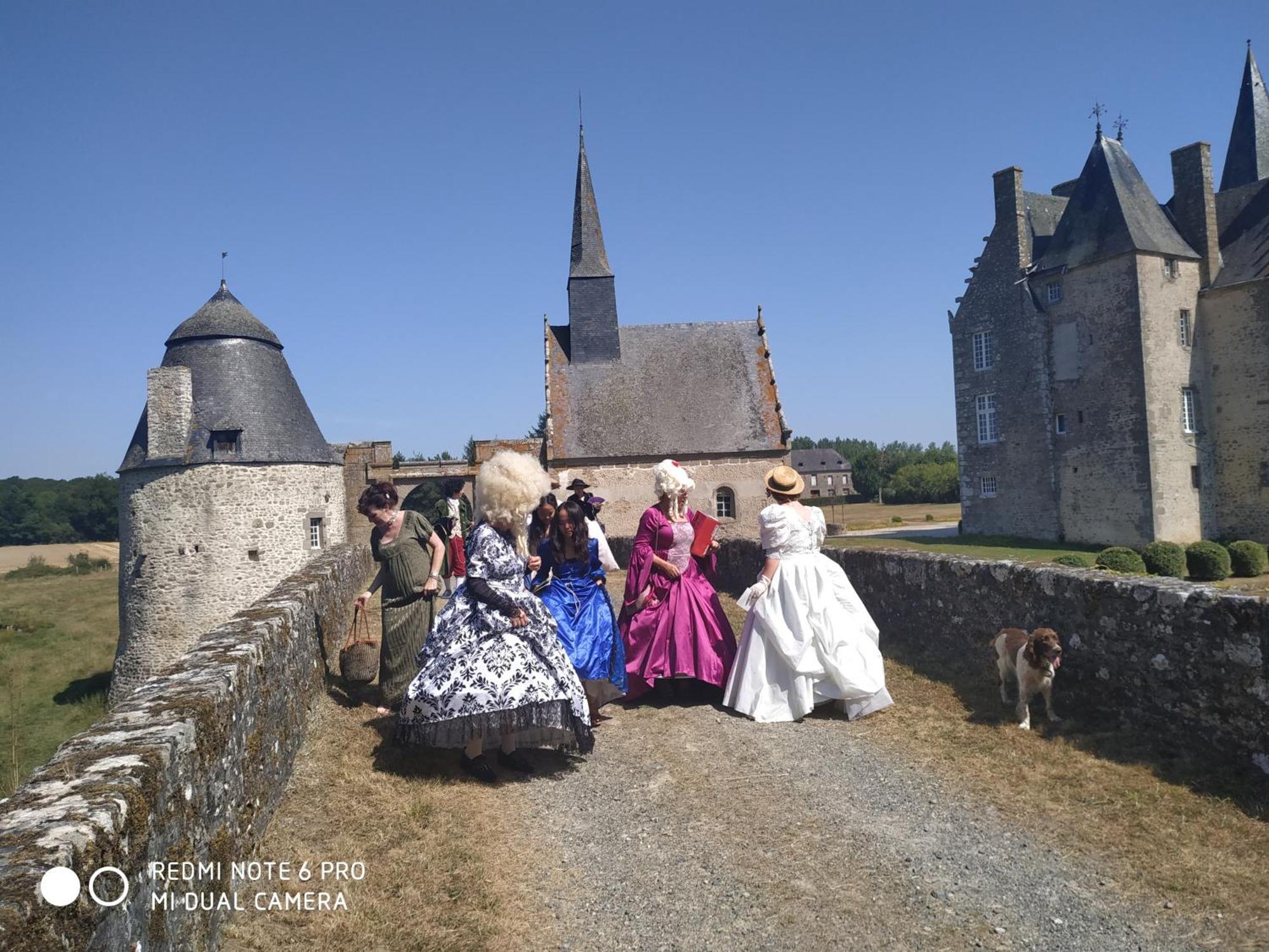 Chateau De Bourgon Montourtier Экстерьер фото